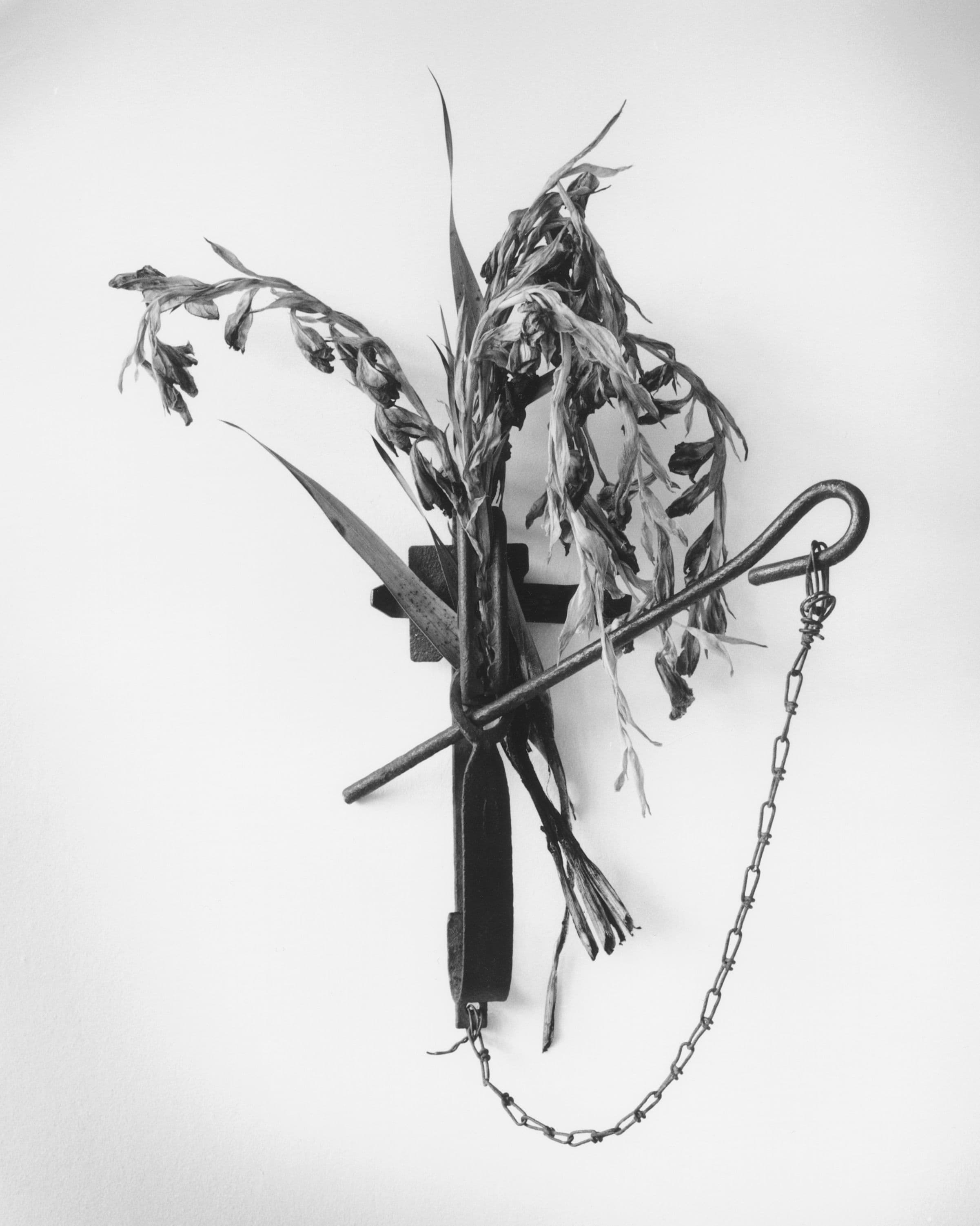 'Memory' - The Burrow