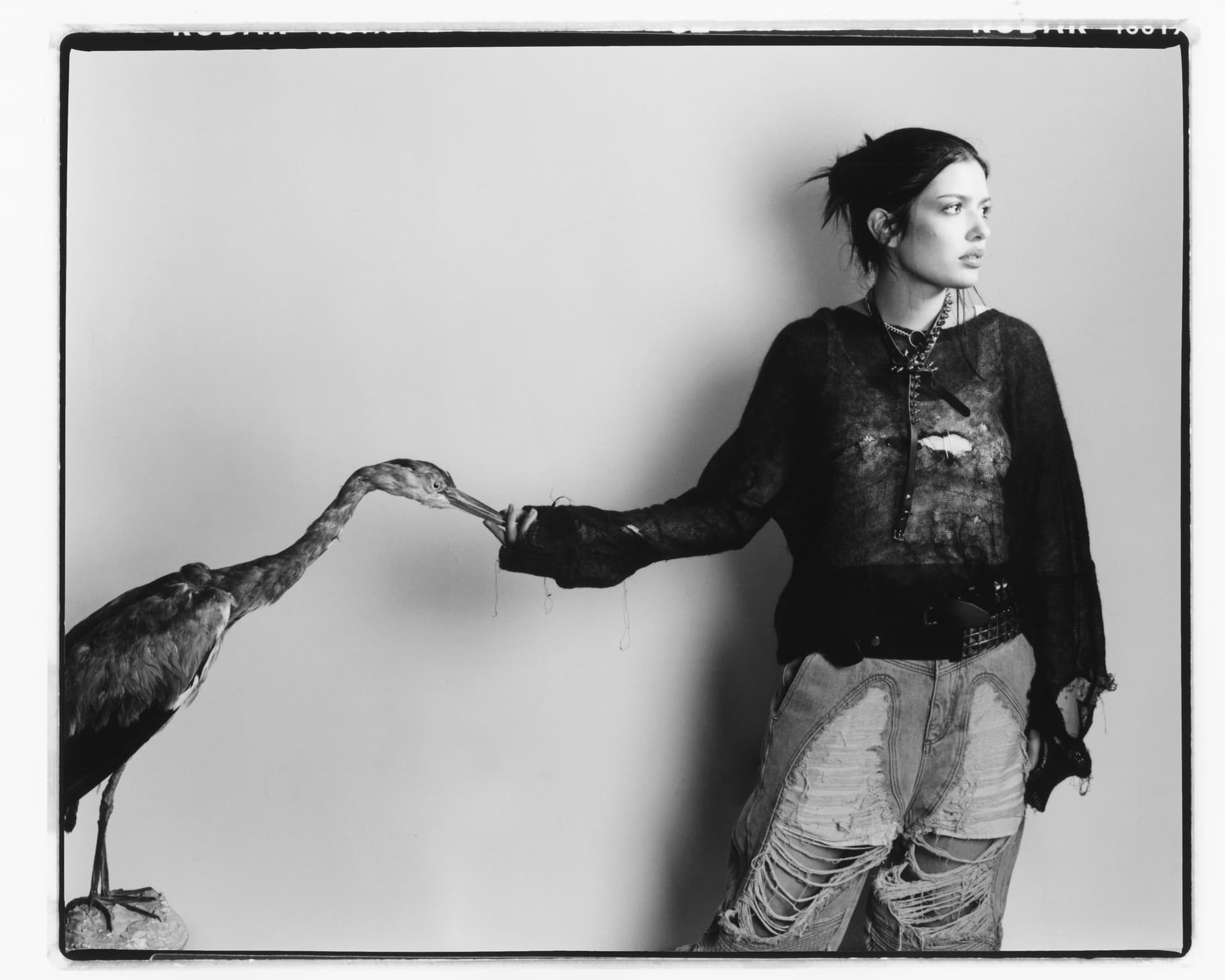 Yunè Pinku - Gauchoworld Magazine