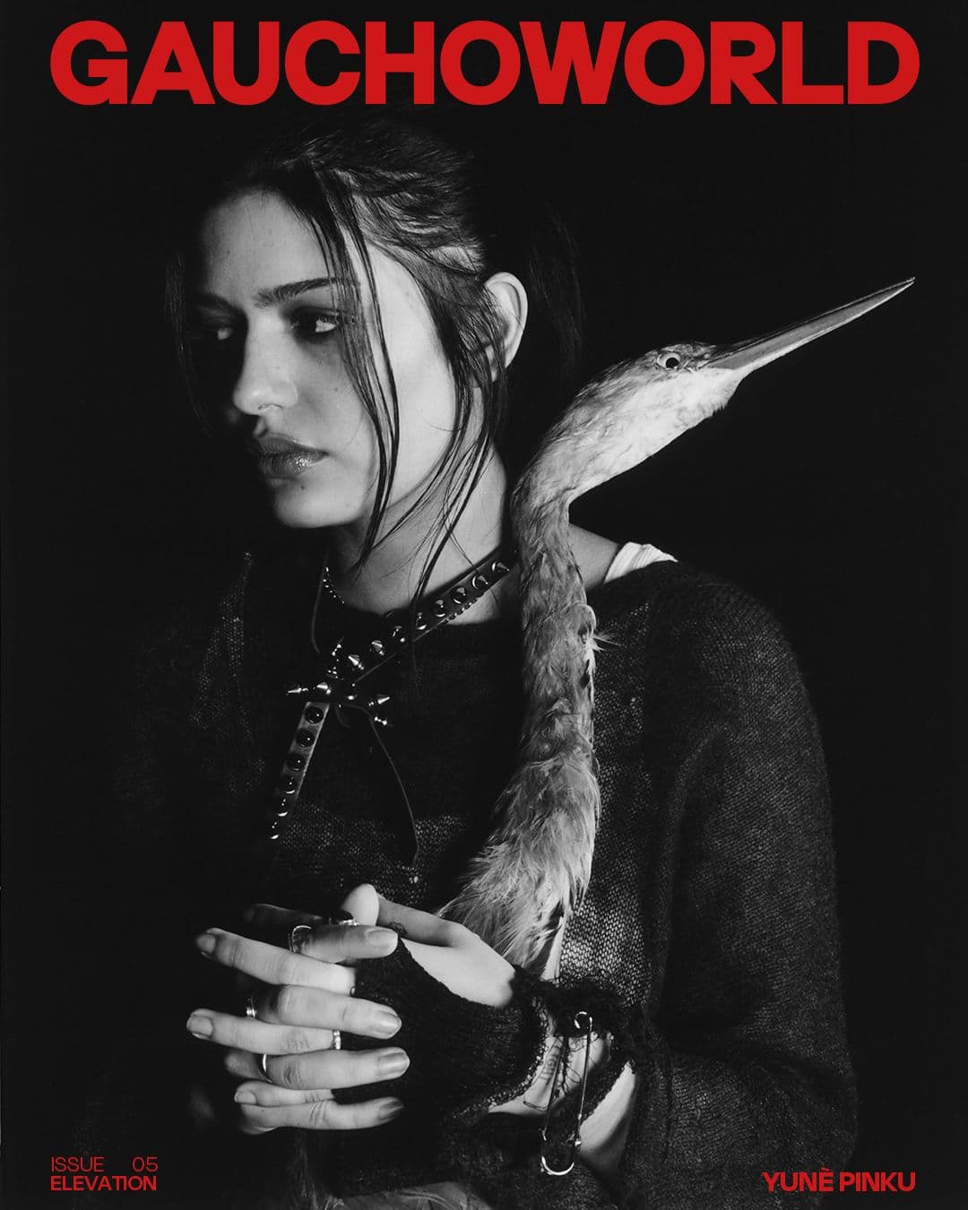 Yunè Pinku - Gauchoworld Magazine