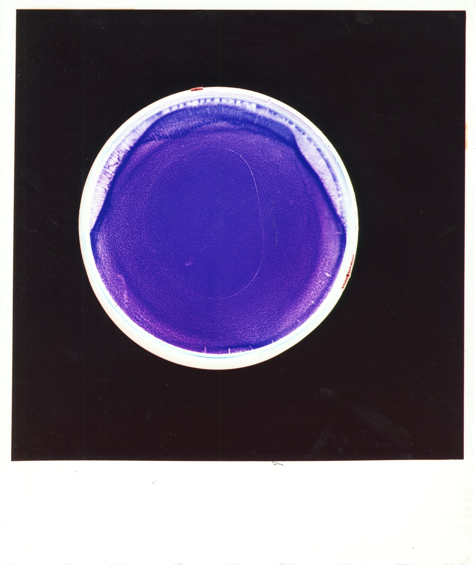 'England, My England'