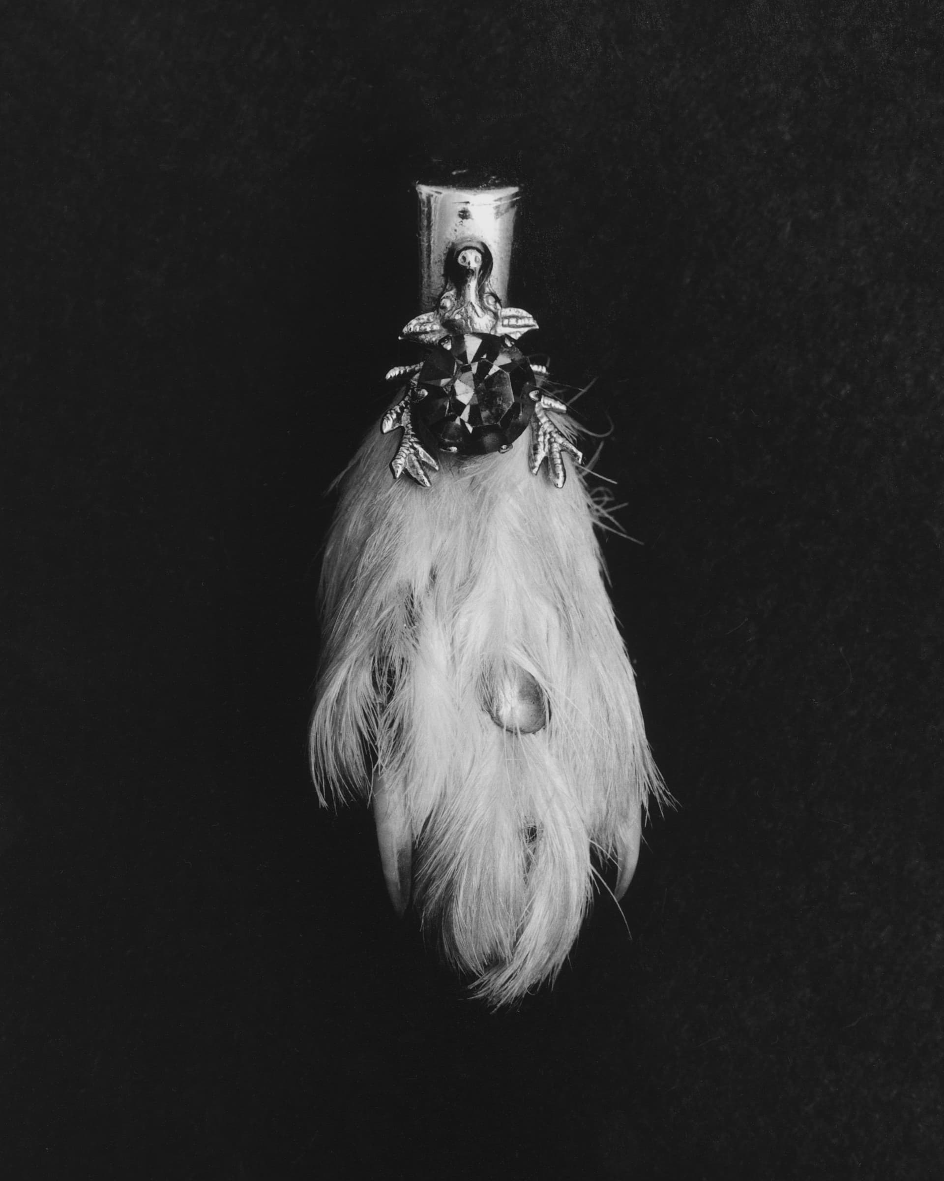 'Memory' - The Burrow