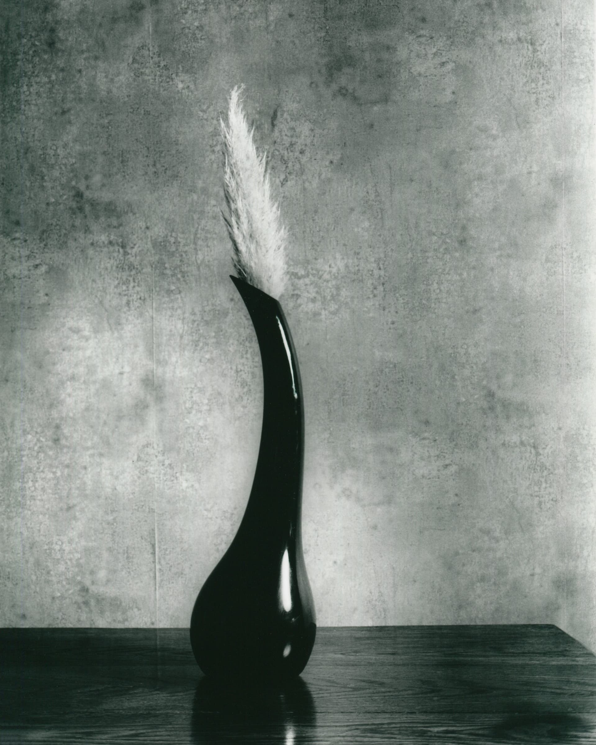 Suffolk Flower Study