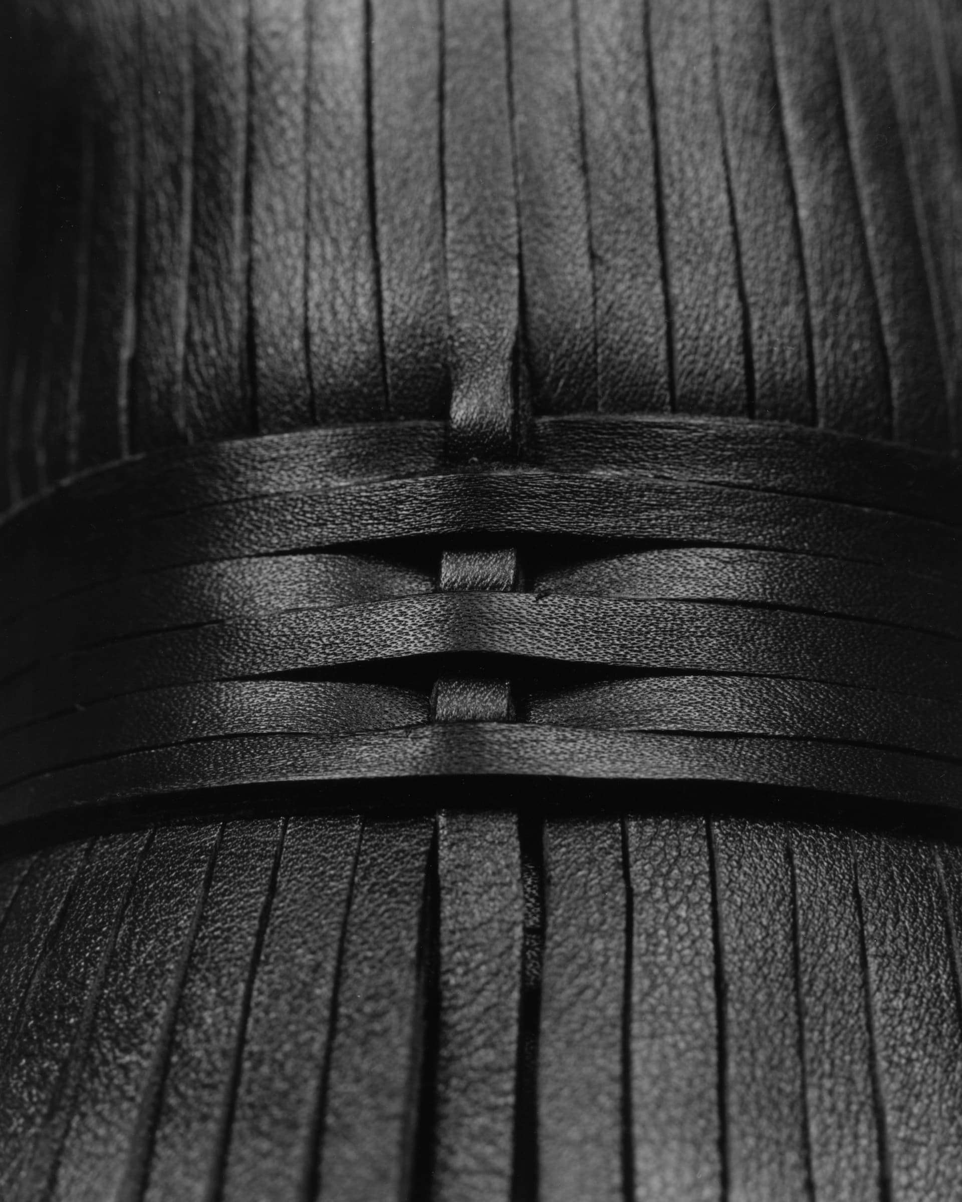 Timisola Shasanya Still Life