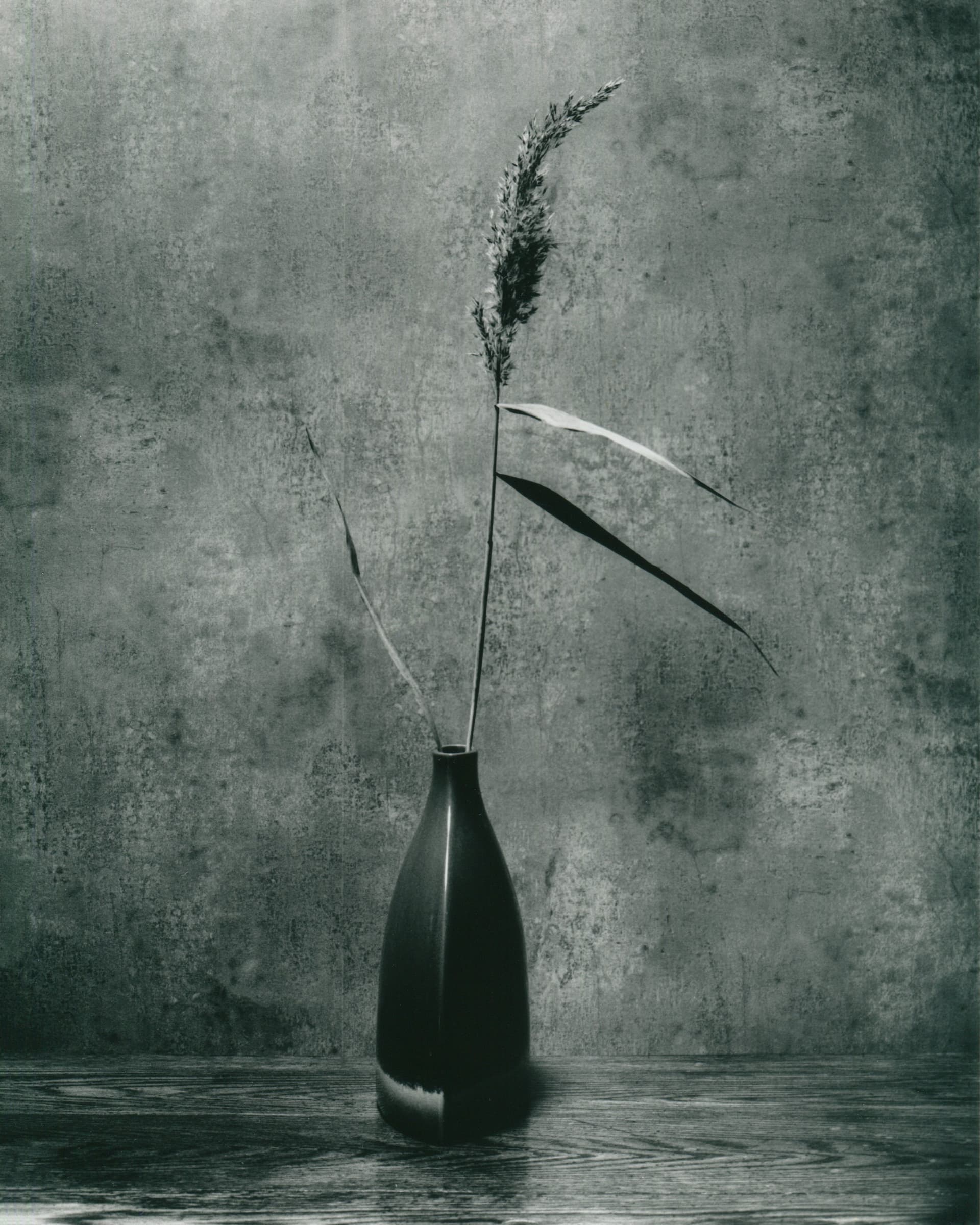 Suffolk Flower Study