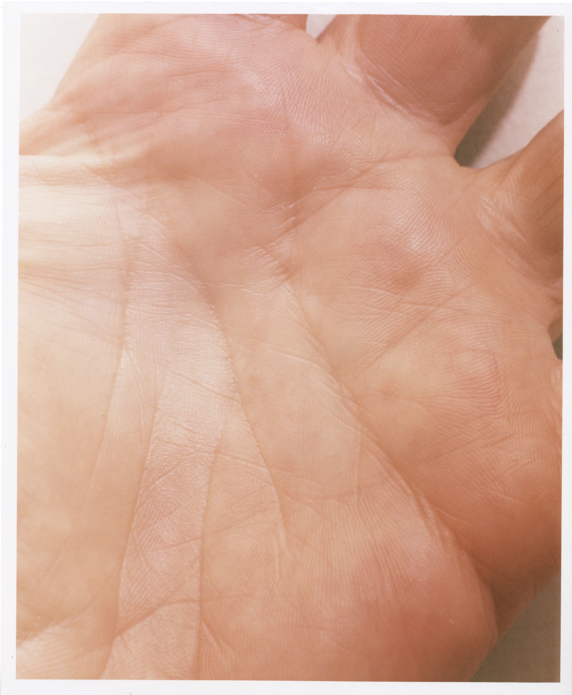 'England, My England'